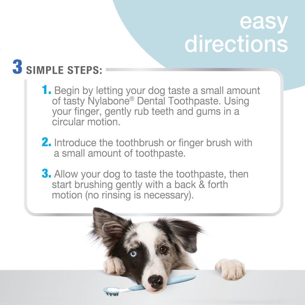 Nylabone® Advanced Oral Care Dog Dental Kit Nylabone®