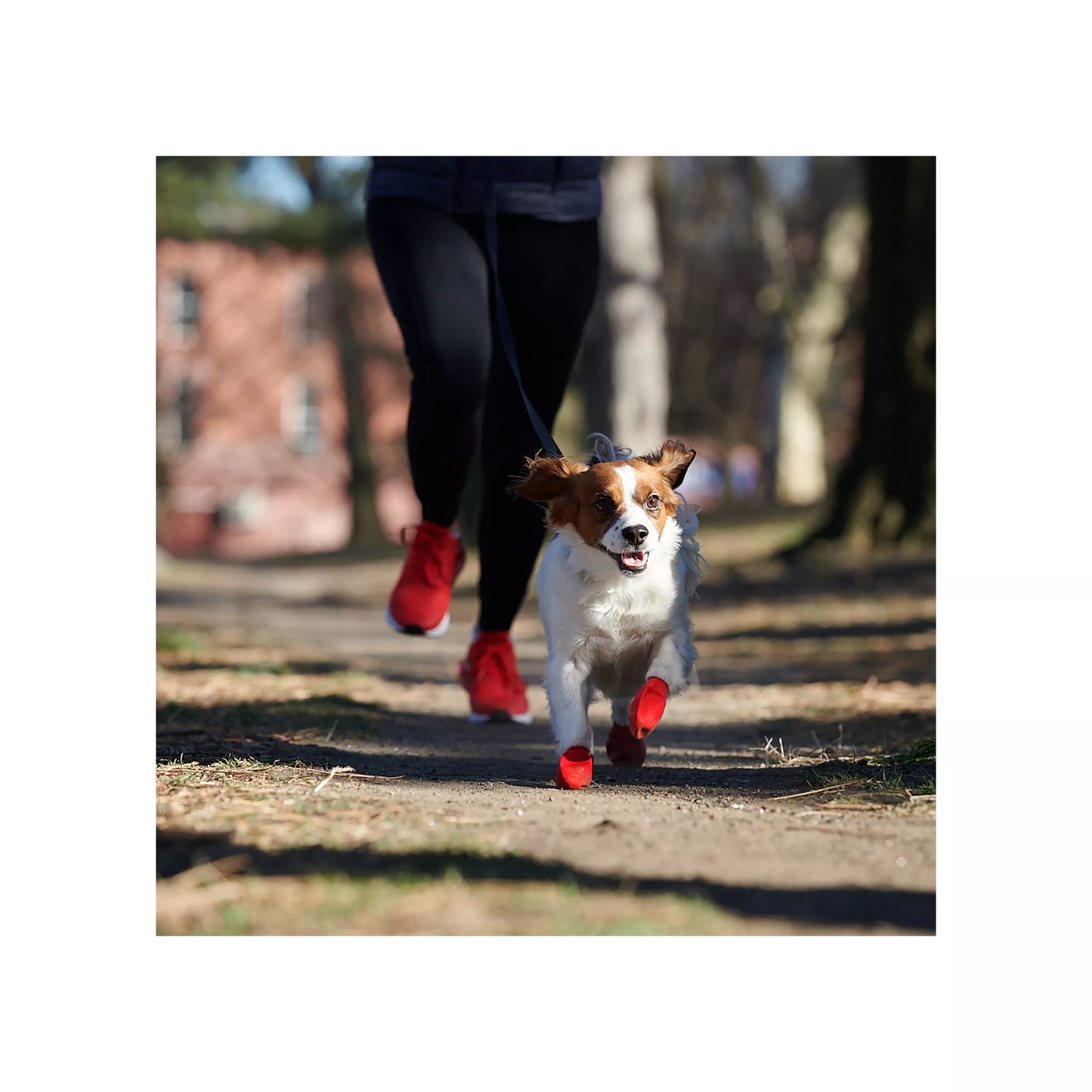 Bottes en caoutchouc pour chien Pawz® Noir