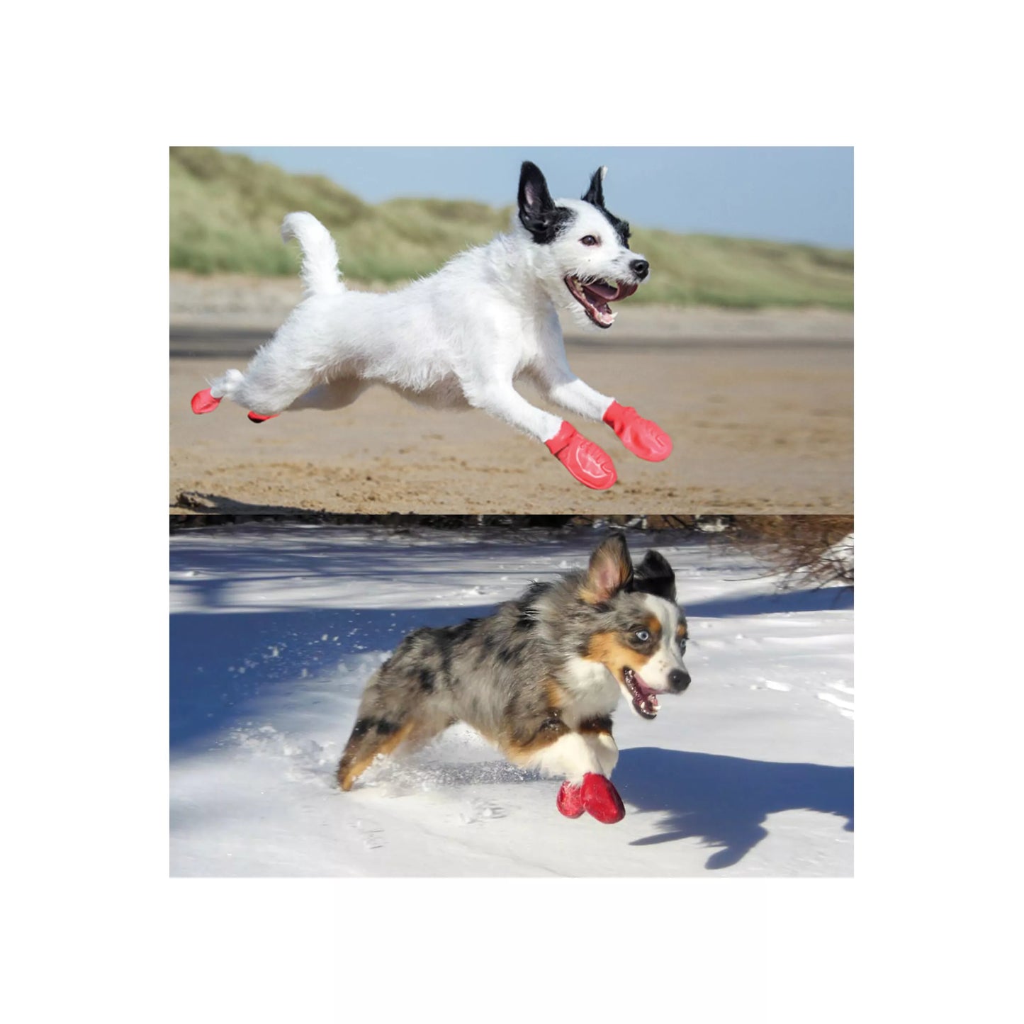 Bottes en caoutchouc pour chien Pawz® Noir