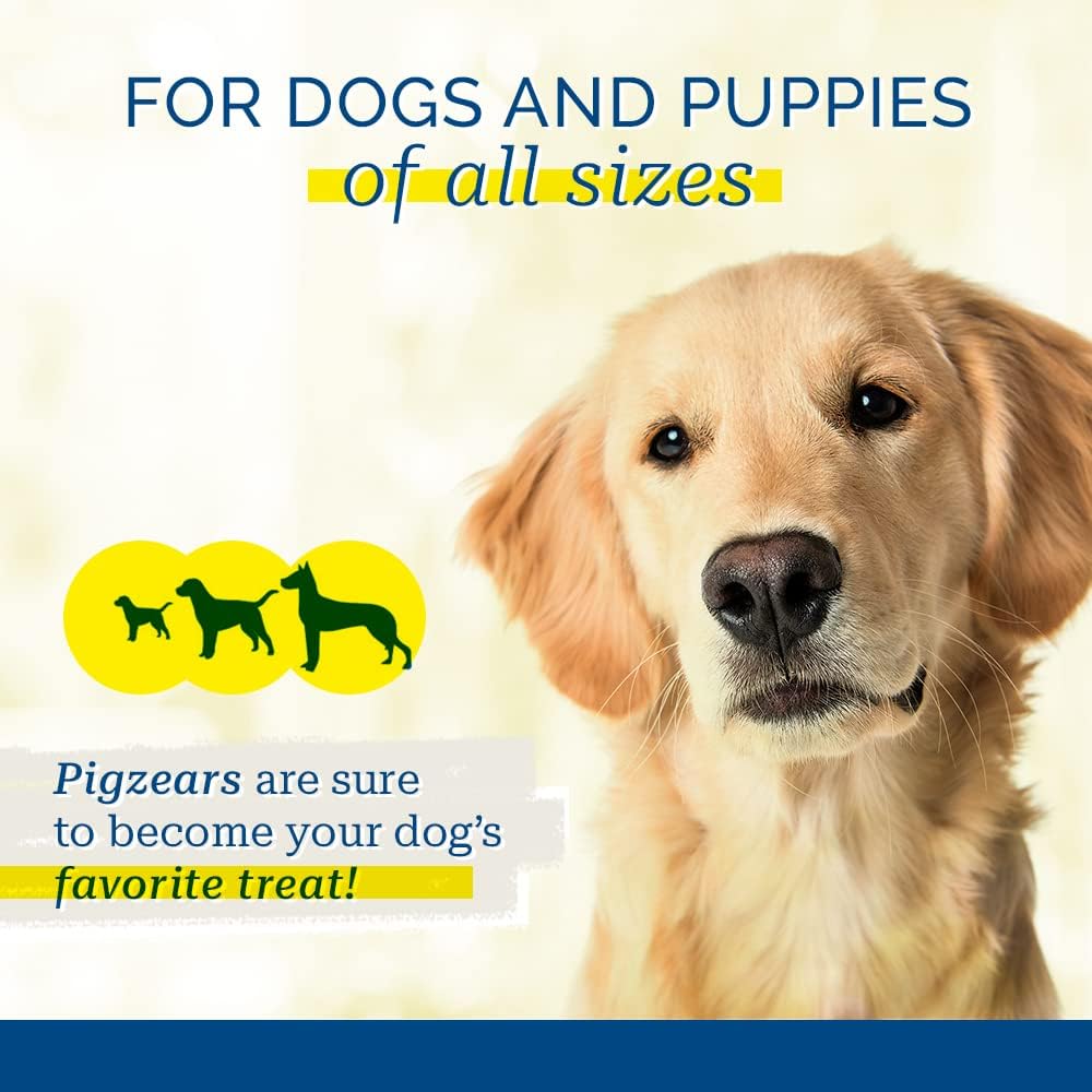 Dog with promotional text for Pigzears treats on a light background