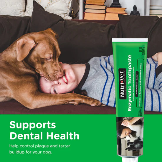 Dentifrice enzymatique NUTRI-VET® pour chiens 70 g