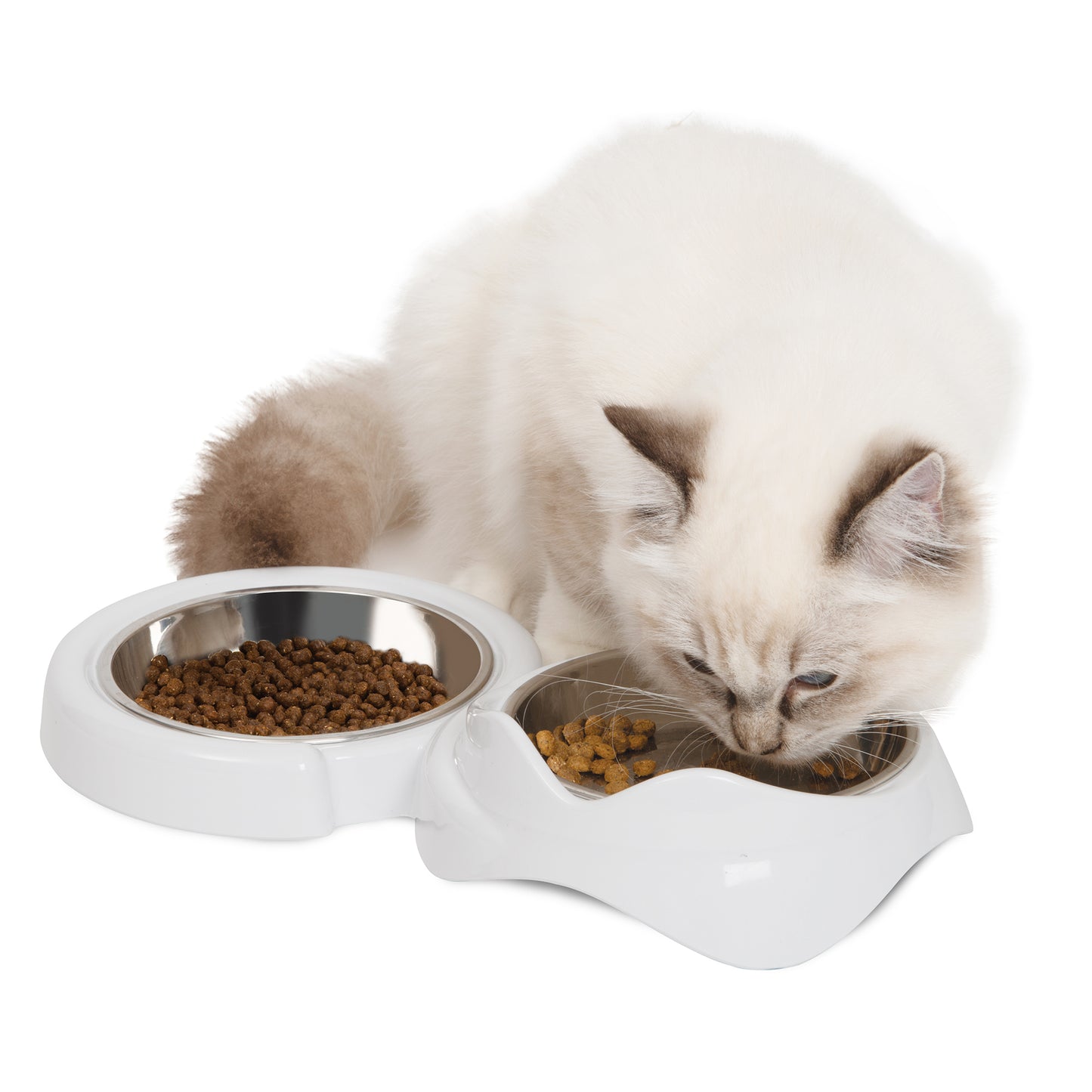 Cat eating from a white double-bowled feeder on a white background