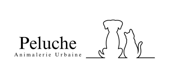 Shop Peluche