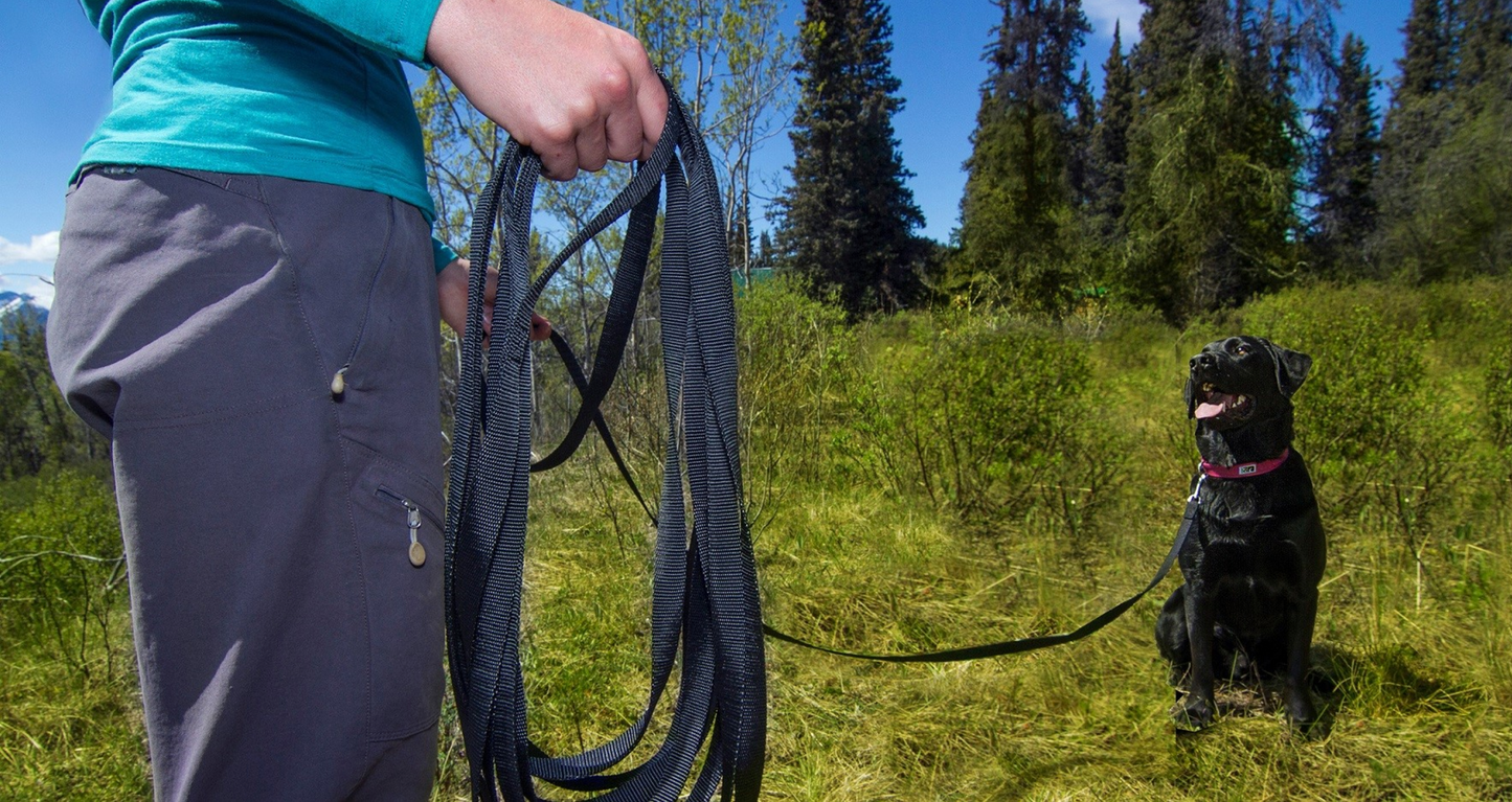 Laisse d'entraînement RCPETS 3/4" - Noir