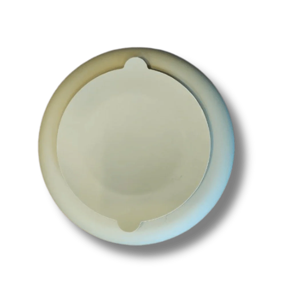 two-in-one slowfeeder bowl and lickmat. Since it fits up to 2 cups of food