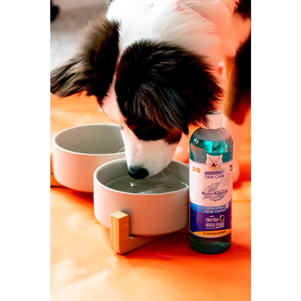 Nylabone® Advanced Oral Care Liquide Détartreur 473 ml