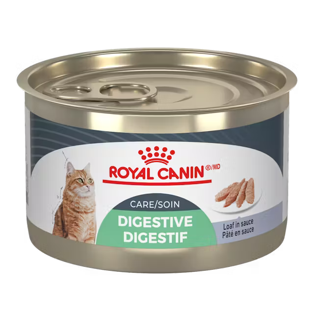 Can of Royal Canin Digestive Care cat food on a white background