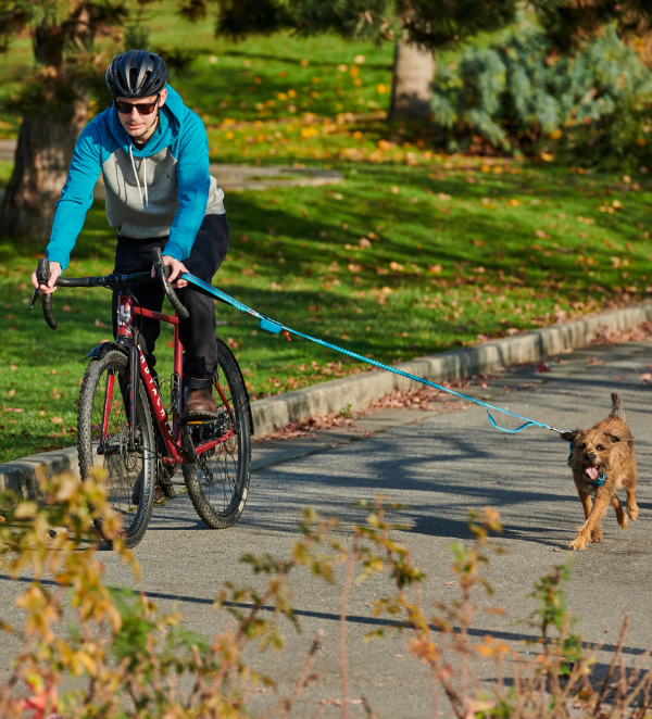 RC PETS Bungee Traffic Leash 1" x 4' - Shop Peluche