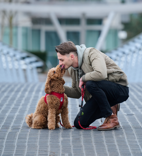 Man and dog interacting on a metal surface with a blurred background