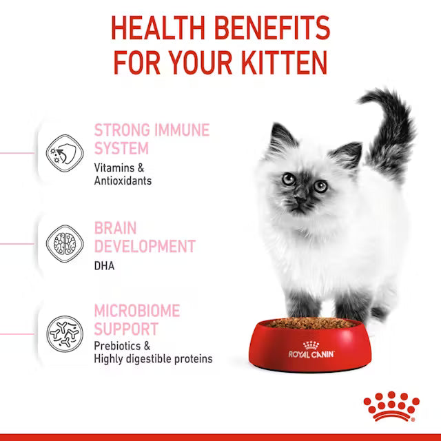 Croquettes pour chats Royal Canin Kitten