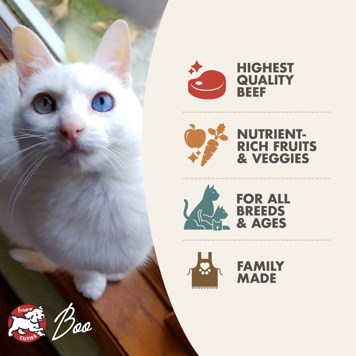 Fromm® Four Star Nutritionals® Beef Liváttini Veg Recipe Dry Cat Food 10 lb - Shop Peluche