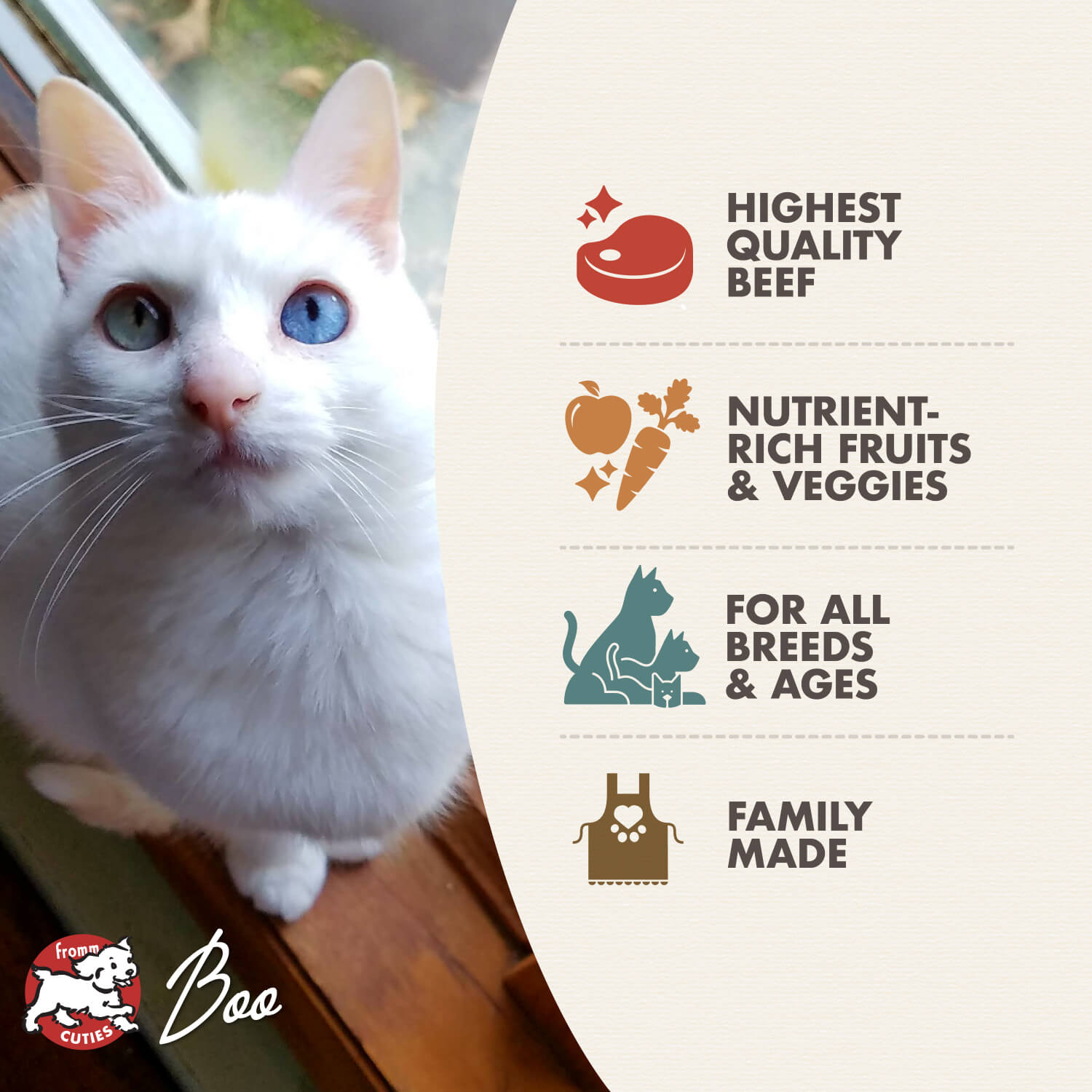 Fromm® Four Star Nutritionals® Beef Liváttini Veg Recipe Dry Cat Food 10 lb - Shop Peluche