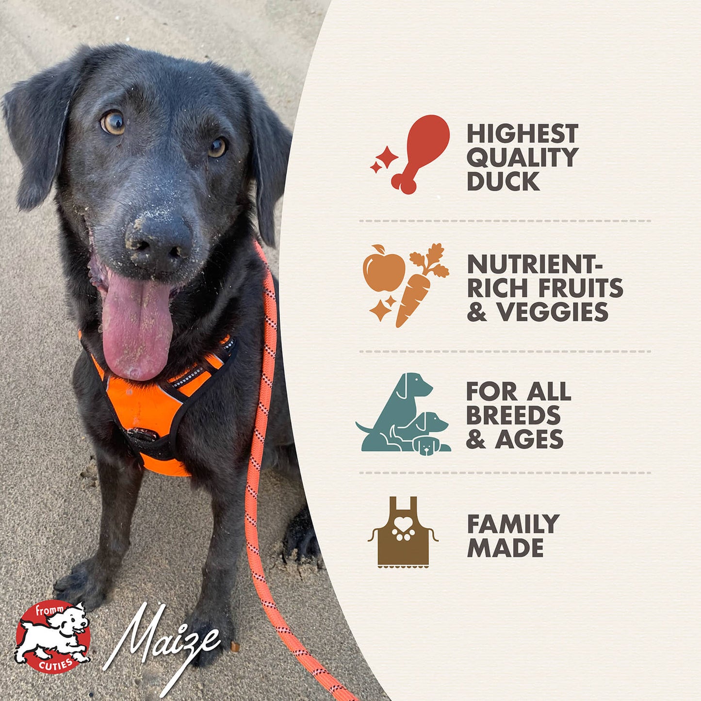 Black dog wearing an orange harness on a sandy background with Maize pet food brand information.