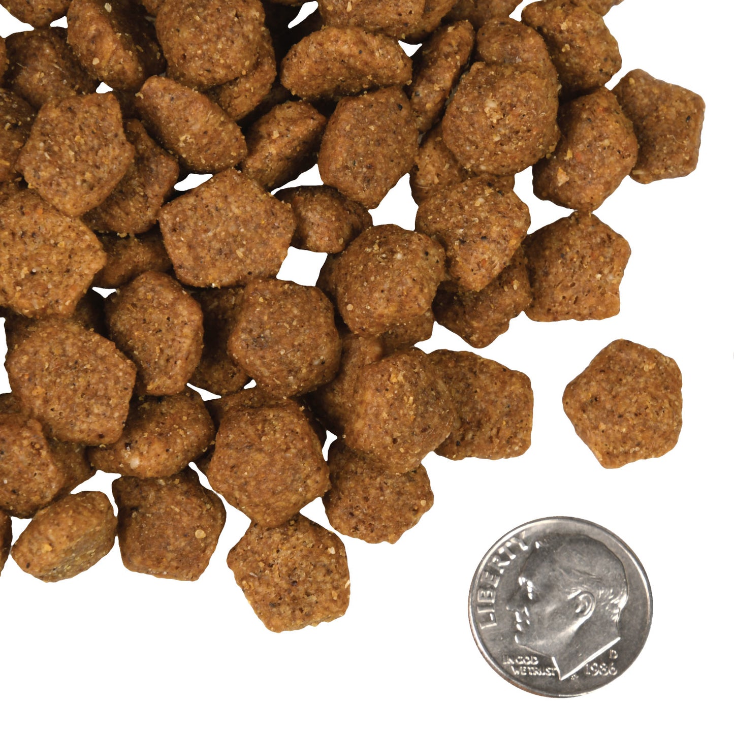 Dog food pellets with a quarter for scale on a white background