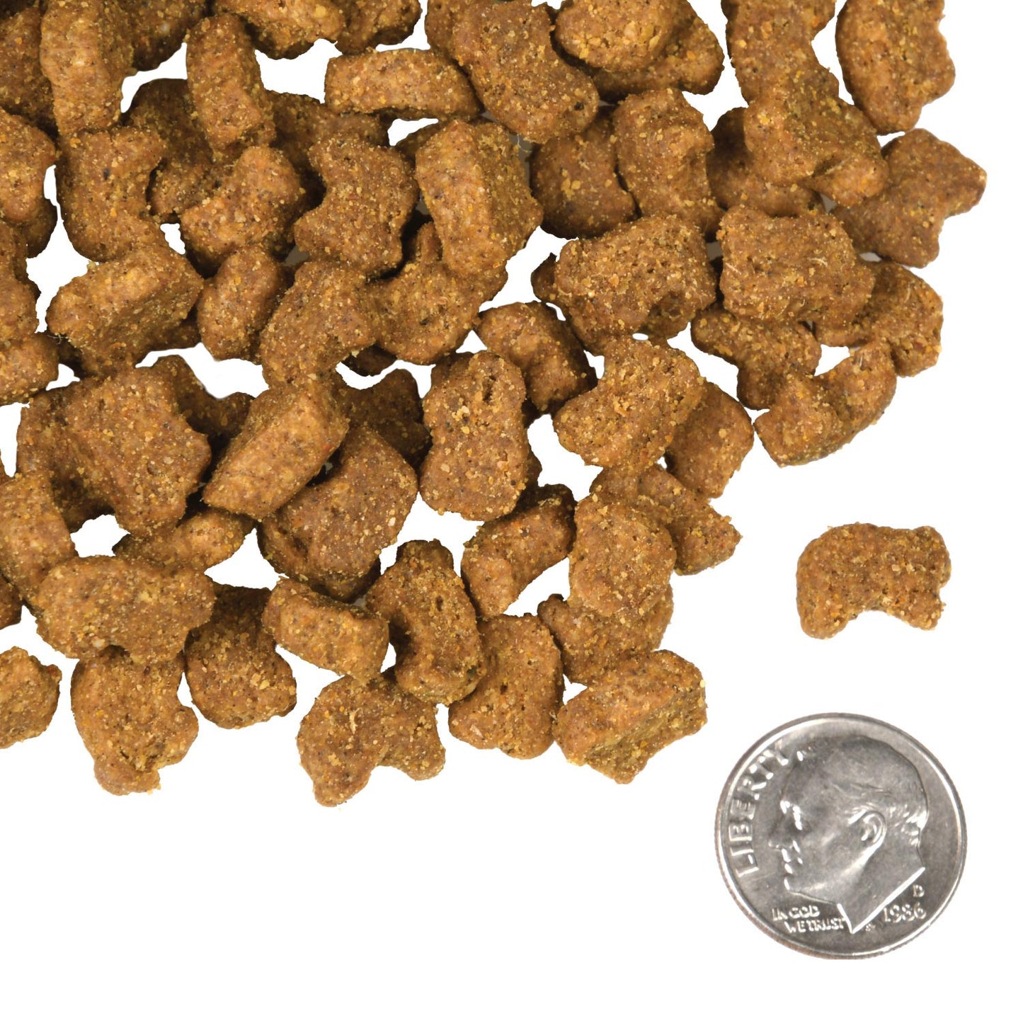 Dog food kibble with a quarter for size comparison on a white background