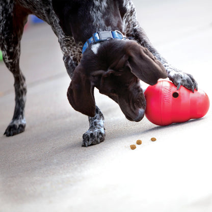 Kong® Wobbler™ Small Dog Toy