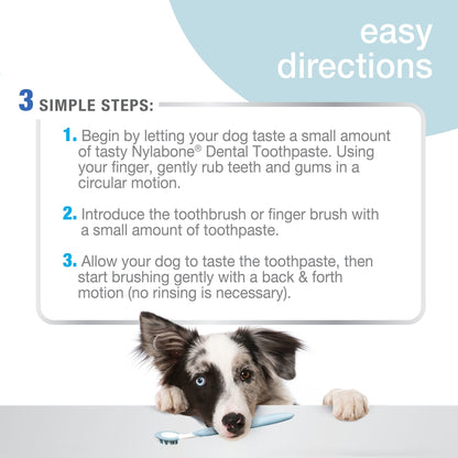 Nylabone® Advanced Oral Care Dog Dental Kit