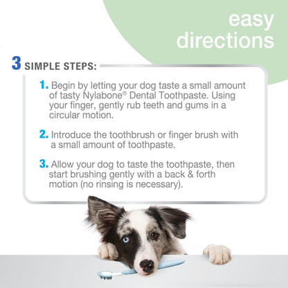 Dentifrice naturel pour soins bucco-dentaires avancés Nylabone®