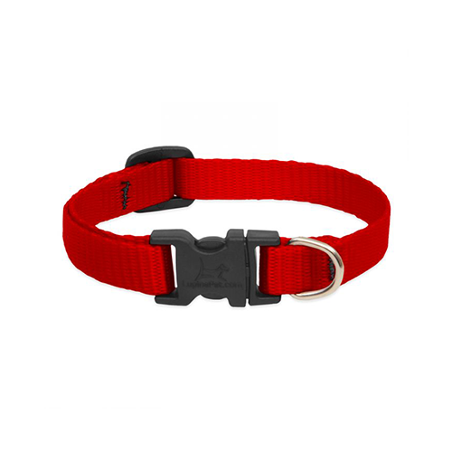 Collier réglable pour chiens Lupine® Basics