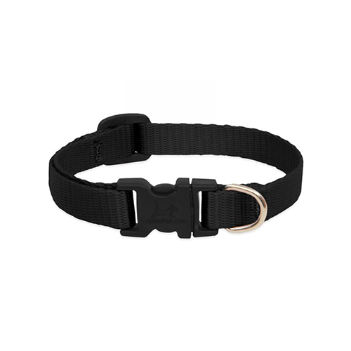 Collier réglable pour chiens Lupine® Basics