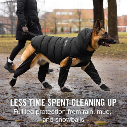 Dog wearing a black coat with leg protection walking on a path.