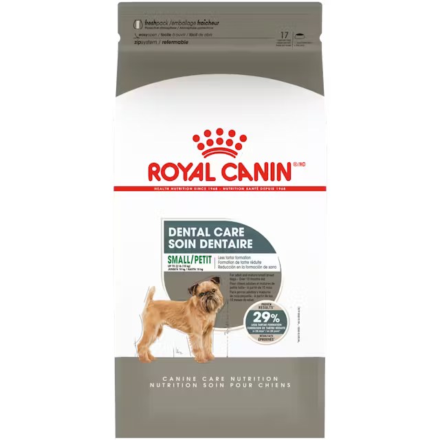Royal Canin Dental Care dog food package on a white background
