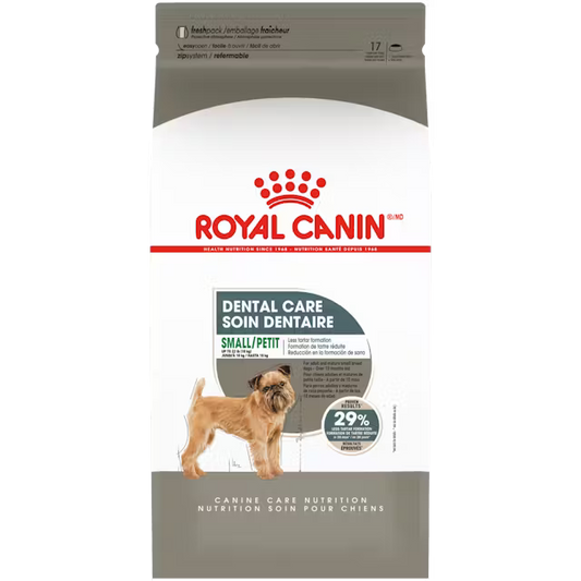 Royal Canin Dental Care dog food package on a white background