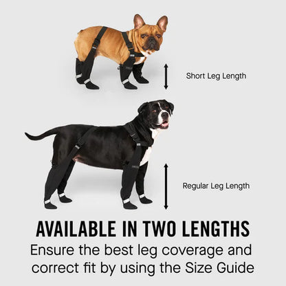 Two dogs wearing black leg coverings with text indicating different leg lengths and availability in two lengths.