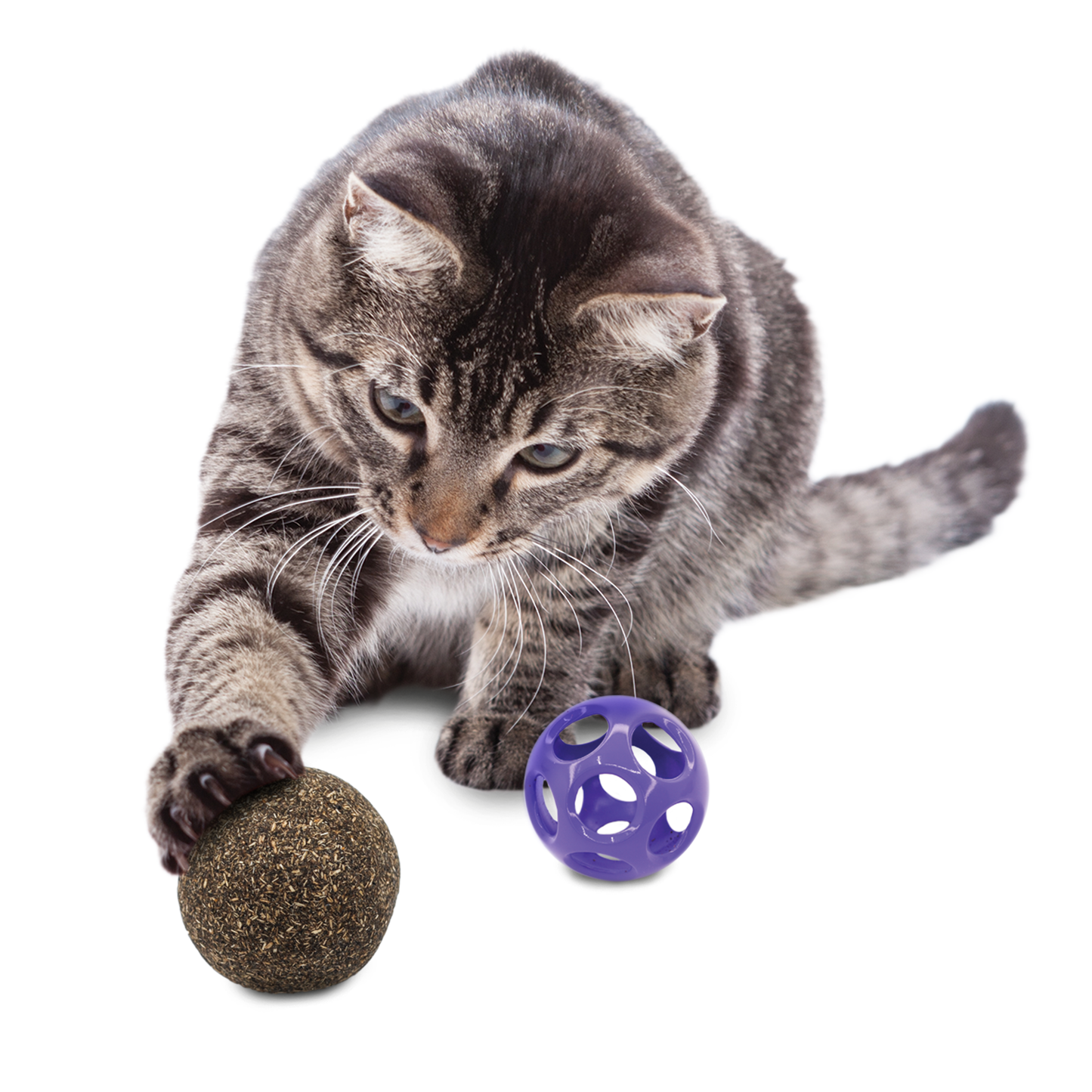 Kong® Blissy™ Moon Ball avec jouet pour chat à l'herbe à chat