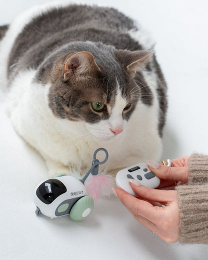 Dexypaws Interactive Toy For Cat, Mouse - Sage Green
