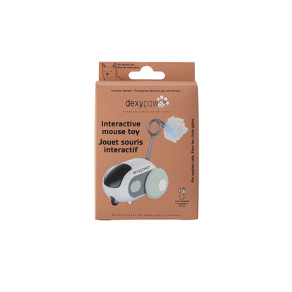 Dexypaws Interactive Toy For Cat, Mouse - Sage Green