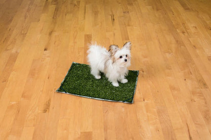POOCH PAD™ INDOOR DOG POTTY PLUS™ CONNECTABLE WITH PAD 16" X 24"