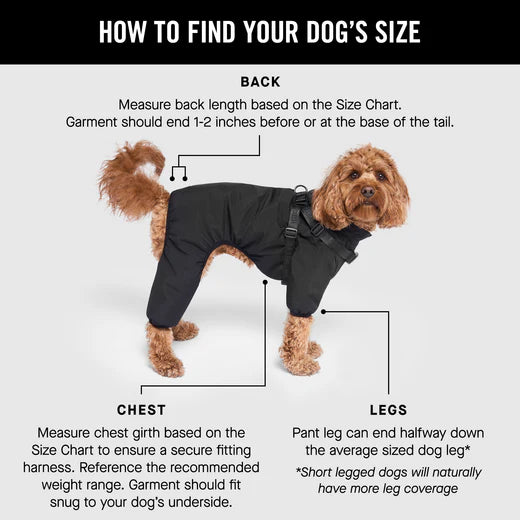 Combinaison de neige noire avec harnais pour chien CANADA POOCH®