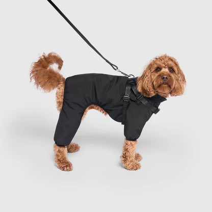 Combinaison de neige noire avec harnais pour chien CANADA POOCH®