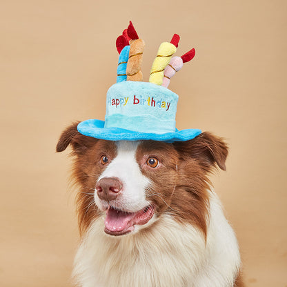 Dog wearing a birthday cake hat with candles on a beige background