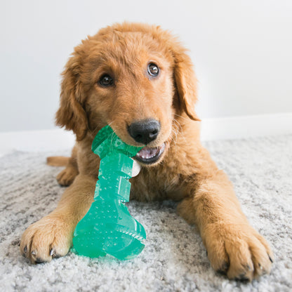 Dog playing with a green bone-shaped toy on a carpeted floor.