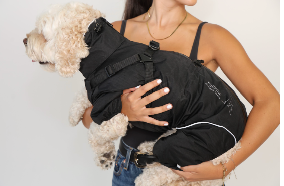 Discover Peluche Essentials