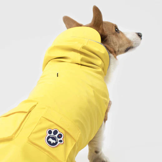 Canada Pooch® Traqueur Torrentiel Jaune