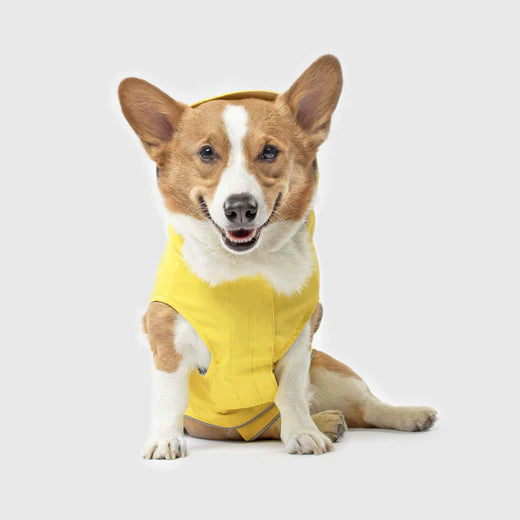 Canada Pooch® Traqueur Torrentiel Jaune