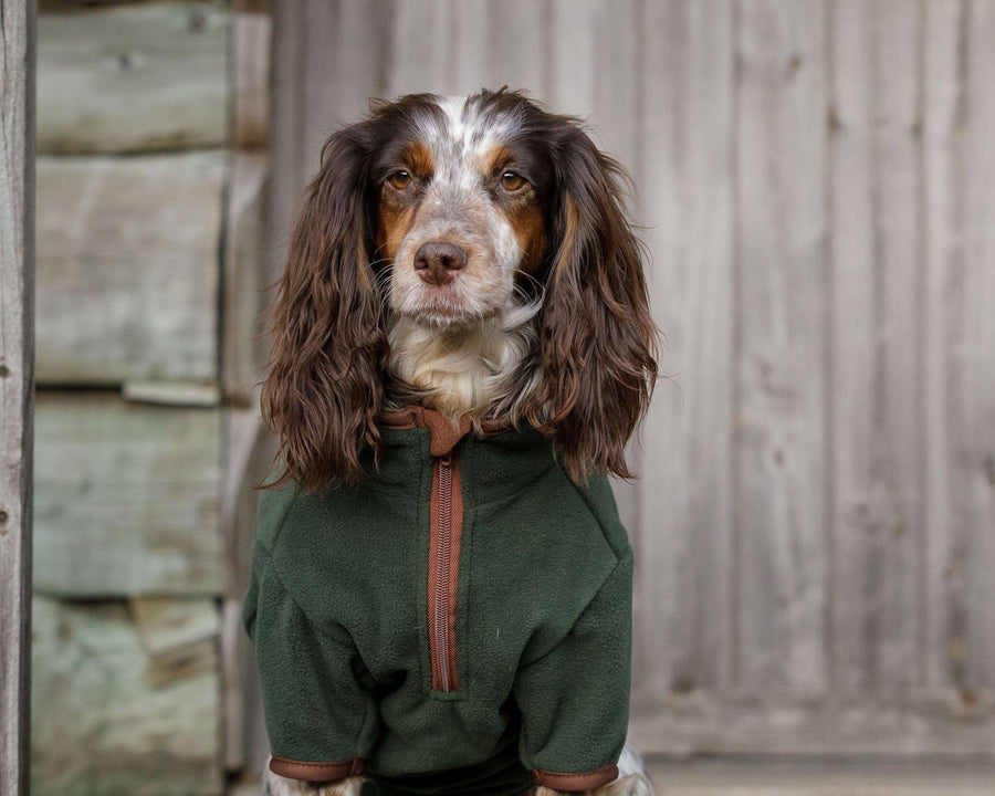 Discover Peluche Essentials