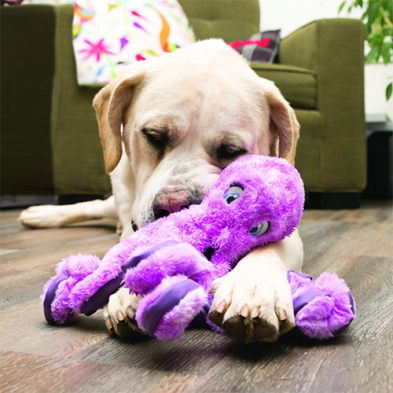 Kong® SoftSeas Octopus Small Dog Toy