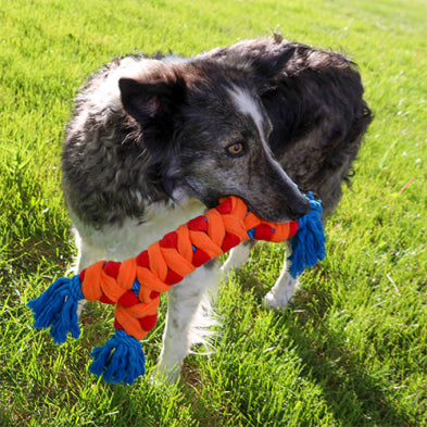Dog playing with a colorful braided rope toy on grass