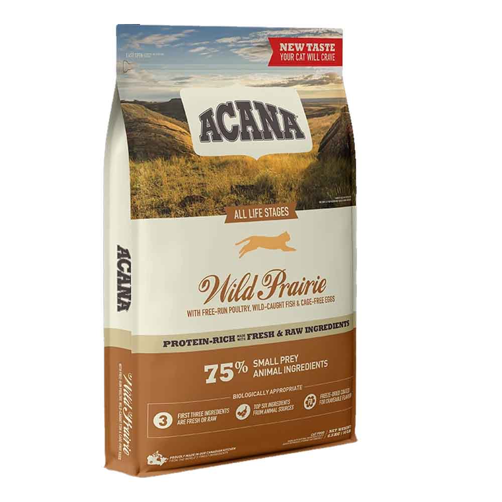 Chat sauvage des prairies d'Acana