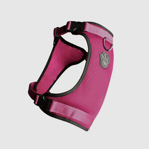 Wrap Around Dog Harness Canada | Canada Pooch Pink | Peluche