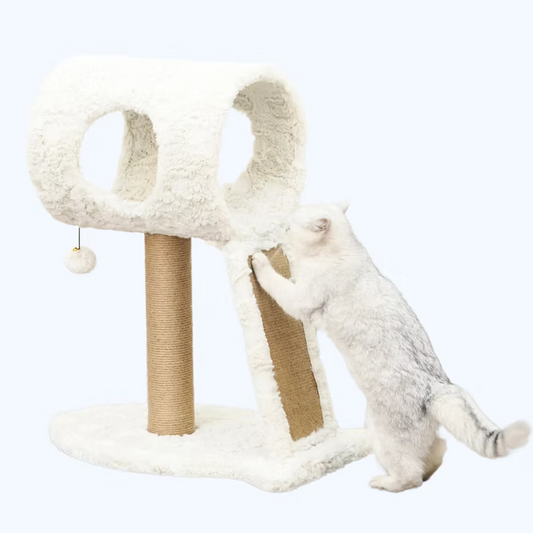 White cat climbing a fluffy cat tree with a white background