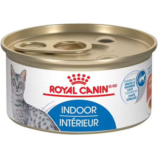 Royal Canin Indoor cat food can on a white background