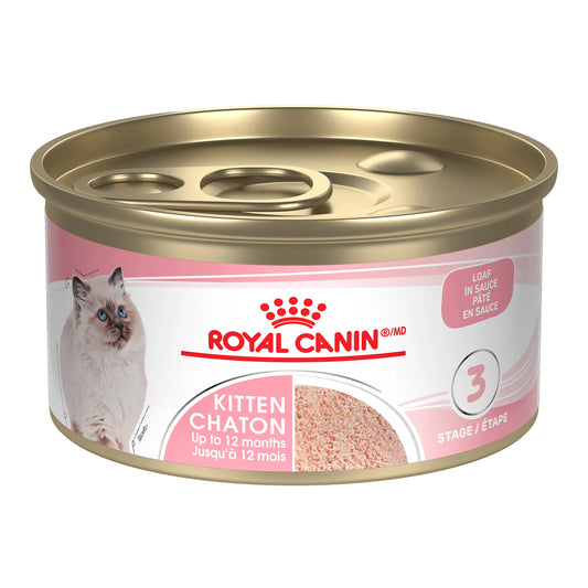 Can of Royal Canin Kitten food on a white background