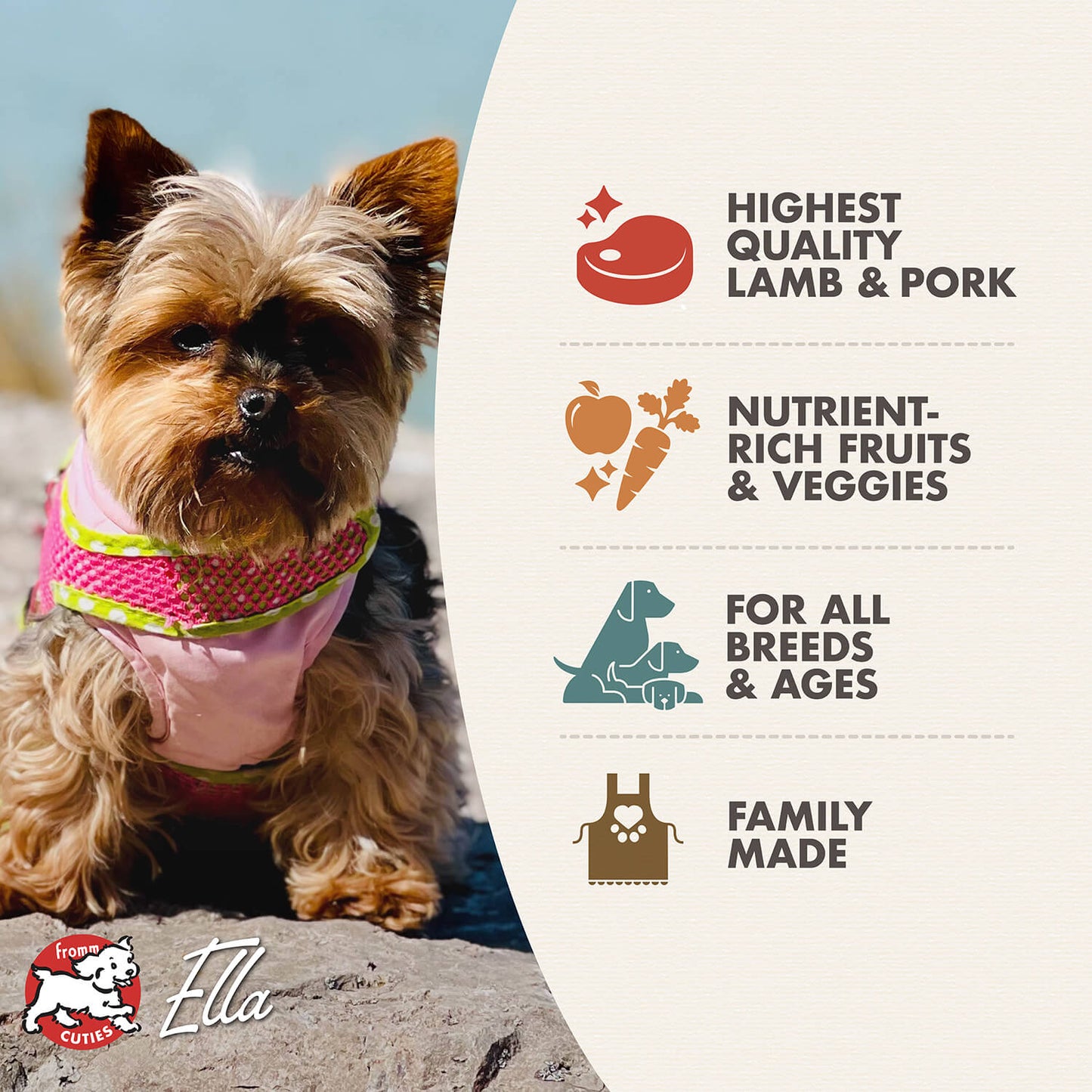 Dog wearing a pink outfit with a label about dog food ingredients and quality on a white background.