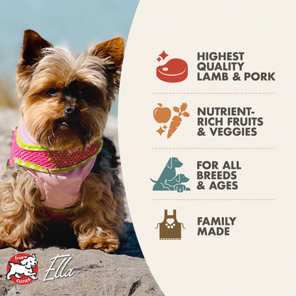 Dog wearing a pink outfit with a label about dog food ingredients and quality on a white background.