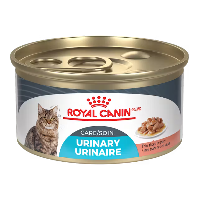 Can of Royal Canin Urinary Care cat food on a white background